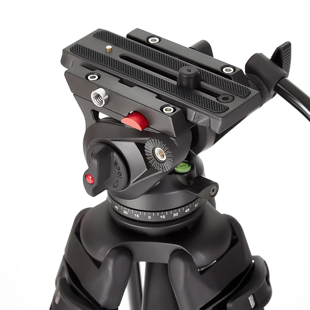 ���������� ������ miliboo MTT606B