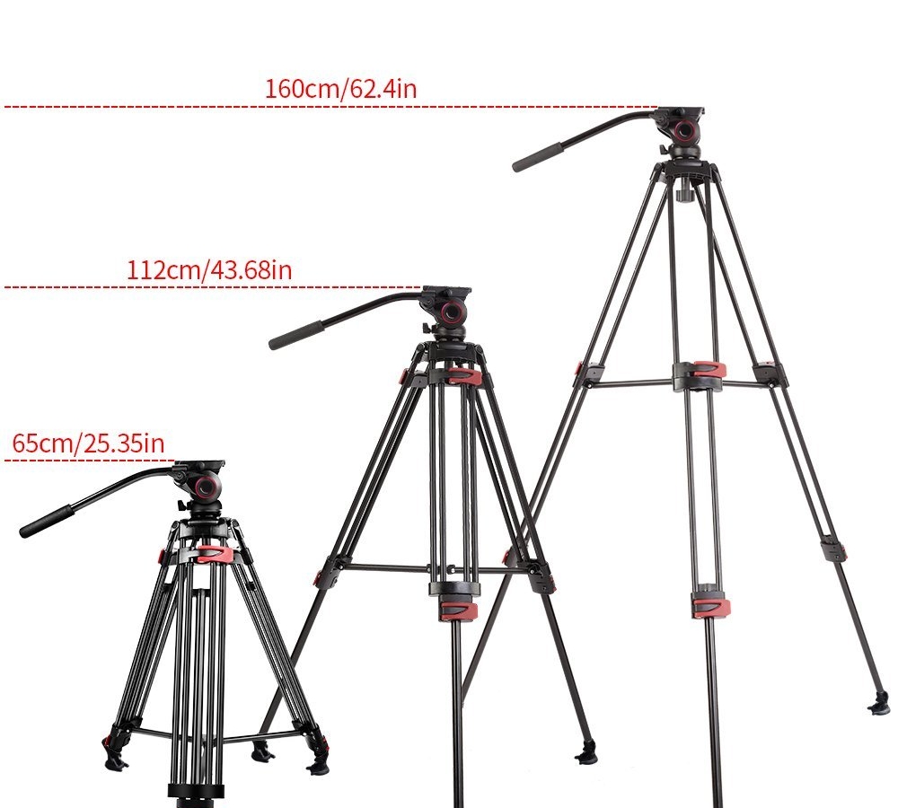 ���������� ������ miliboo MTT604A